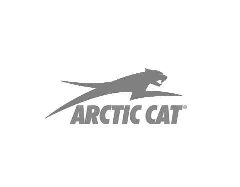 arctic cat_GRIS